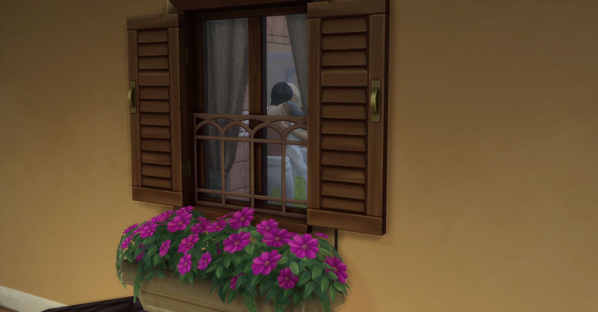 Санні та Іан 