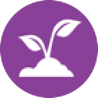 Greenhouse Haven Kit